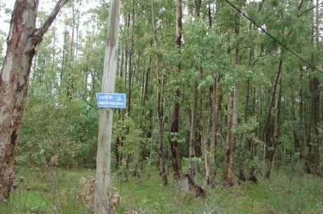 Terrenos En Venta En Bella Vista, Uruguay