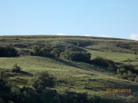 Campo Muy Pintoresco Sobre Ruta 60