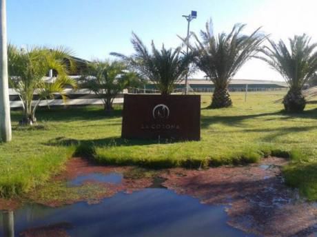 Haras En Jose Ignacio