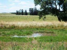 Chacra En La Zona De Aguas Blancas