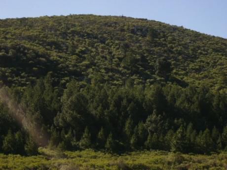 Campo De Sierra, En El Corazon De Las Sierras De Las Animas