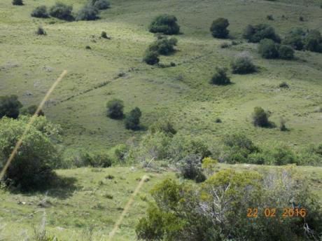 Chacra A Metros De La Ruta 60