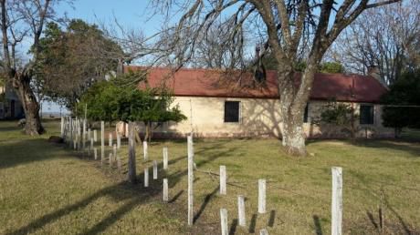Campo Agricola