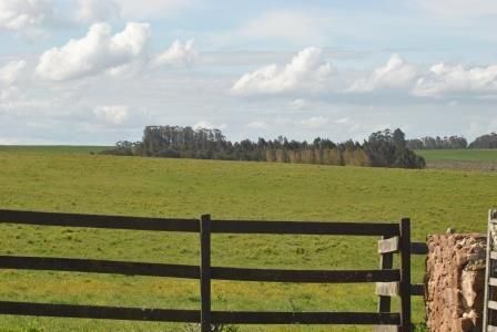 Campo Cerca De La Barra