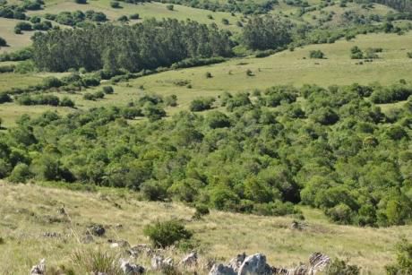 Fraccion Proxima A Minas