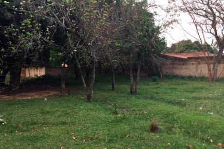 Terreno En Luque, Central