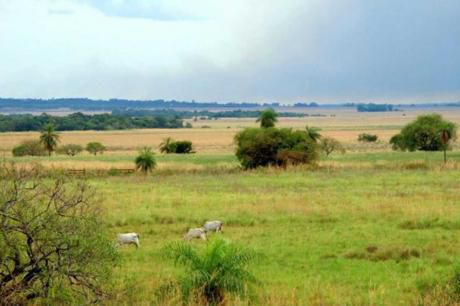 Campo En Yuty, Caazapá