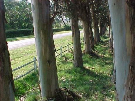Punta Del Este, La Barra Lote En Venta