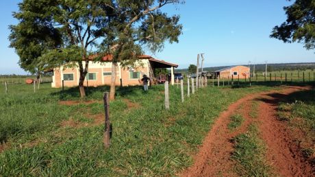 Campo En Venta
