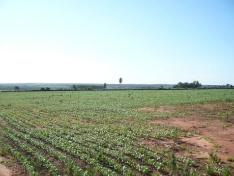Inmueble Agricola En Canindeyú