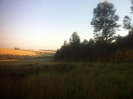 20 Ha Ideal Para Cantera