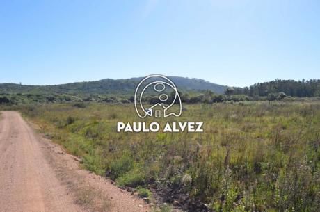 Terreno En Punta Colorada ( Te665)