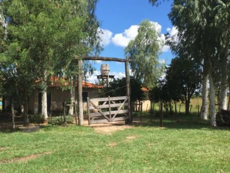 Terreno En Villa Hayes - 16 Hectareas