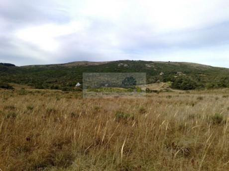 Campo 40 Has Ruta 109