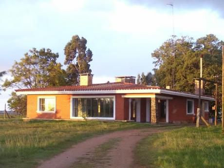 Chacra De 127 Ha. Casas. Caballeriza. Tambo. Galpon. Gjes. Buena Pastura.