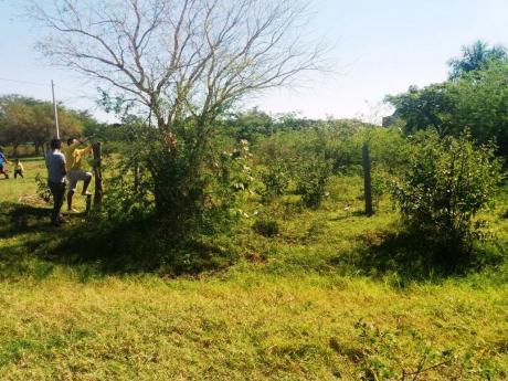 Venta De Terreno