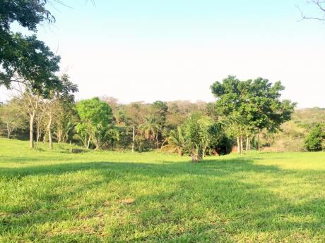 Terreno En Venta Urubo Florida