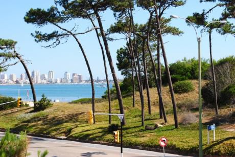 Apartamento En Alquiler 3 Dormitorios