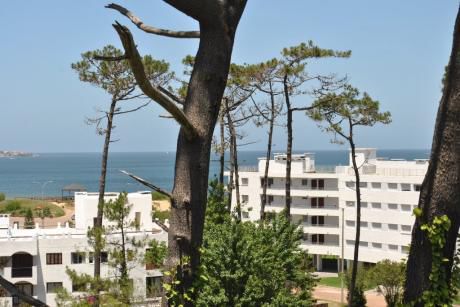 Apartamento En Venta Y Alquiler 2 Dormitorios