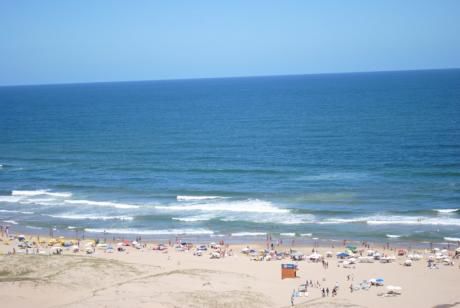 Apartamento En Alquiler 1 Dormitorios