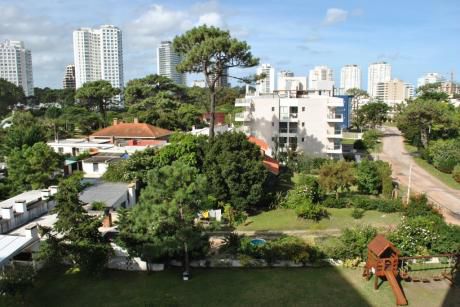 Apartamento En Alquiler 1 Dormitorios