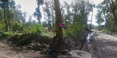 Lote En Venta