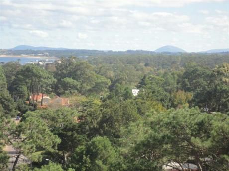 Apartamento En Venta Y Alquiler 3 Dormitorios