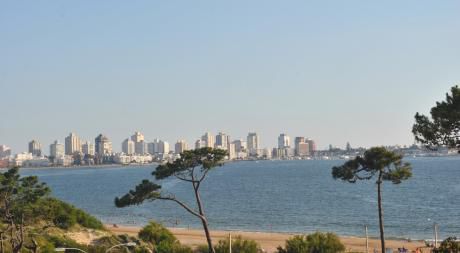 Apartamento En Alquiler 2 Dormitorios