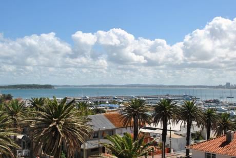 Apartamento En Venta Y Alquiler 3 Dormitorios