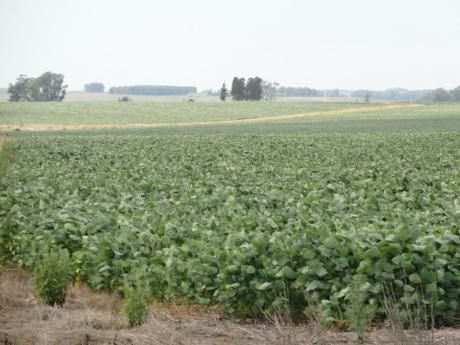 Campo En Venta