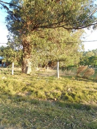Terreno En Bella Vista