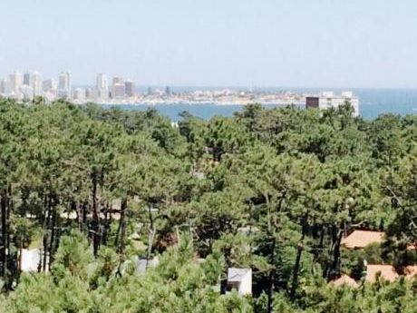 Apartamento En Alquiler 2 Dormitorios