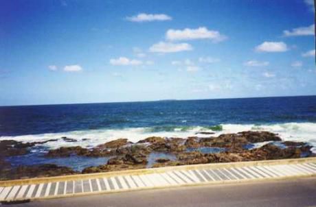Apartamento En Alquiler 2 Dormitorios