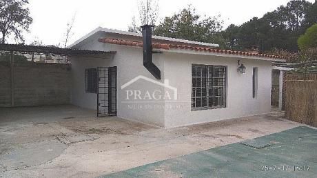 Casas En El Pinar