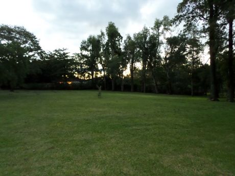 Vendo Hermosa Propiedad De 22.989 M2 En Surubi-i