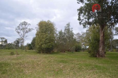 Terreno En Punta Colorada ( Te 710 )