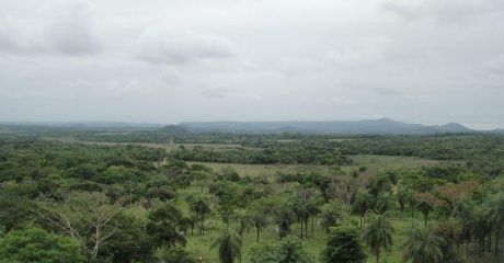 La Colmena - Quinta - 7 HectÁreas 5000 M2