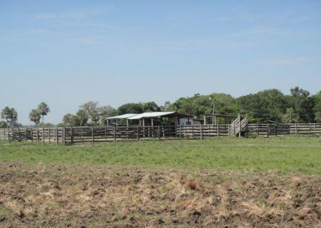 Villa Oliva / ÑeembucÚ - Estancia Formada- 900 HectÁreas