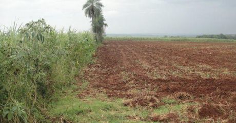 Nueva Italia 2000 Metros De La Ciudad - Tierra AgrÍcola - 24 HectÁreas