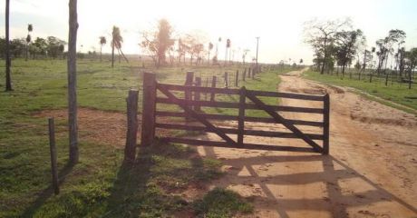 1.650 Hectareas, Caaguazu,simon Bolivar
