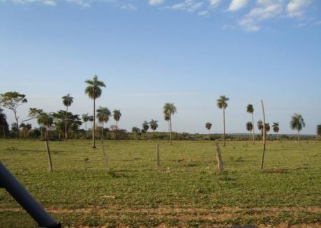 1.650 Hectareas, Caaguazu, Zona Simon Bolivar