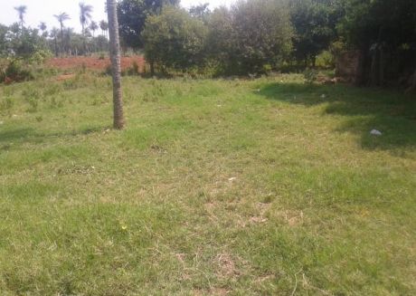 Hermosos Terreno De 1ha, 603m2 En Mbatovi.