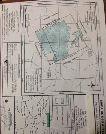 Vendo Propiedad Con 600 Ha En Caaguazu A 4000 Usd La Ha
