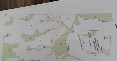 Vendo Estancia En Santa Rita Alto Parana