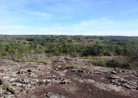 Campo 15 Ha En Valenzuela, Con Costa Sobre El Yhaguy
