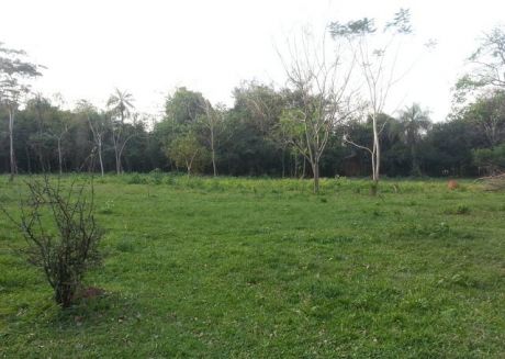 Vendo Terreno En Capiata