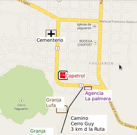 Vendo Granja Formada De 5 Ha En Yaguaron