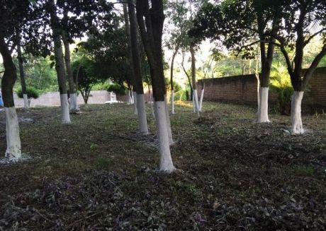 Terrenos A Sola Firma 410m2 Sobre Asfalto Zona Von Polesky