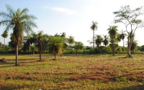 *** Financio 10 Lotes Juntos En Capiata ***