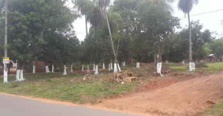*** Financio En Capiata - Terrenos Sobre Asfalto ***